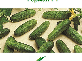 Семена Огурец Герман F1 5шт АЭ 8491