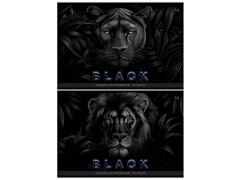 Альбом для рисования 32л. BG АР4ск32_лс_вл 08613 "Just black", soft-touch ламинация, выб. лак