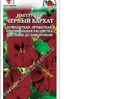 Семена Настурция Черный Бархат 0,5г ЗСА 7651