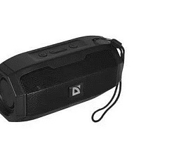 Акустика портативная DEFENDER 65036 G36