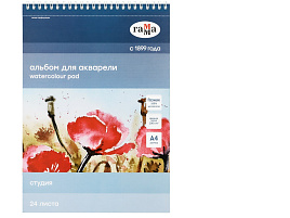 Альбом для акварели 24л. Гамма 40C01S724W А4, на спирали "Студия", 200г/м2,  среднее зерно, перфорация на отрыв