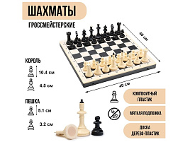 Шахматы 10302666 Айвенго