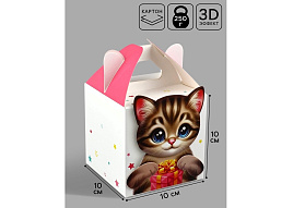 Коробка 10*10 Котик 10655825