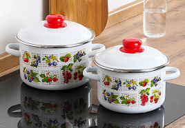 Набор кастрюль 2пр (2+3л) Вкус лета 1КВ361М
