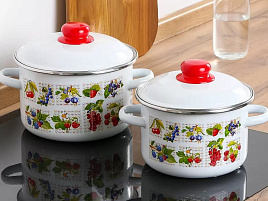 Набор кастрюль 2пр (2+3л) Вкус лета 1КВ361М