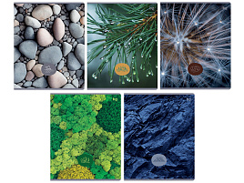 Тетрадь 48л.  Т5ск48 62707 "Детали природы", эконом