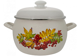 Кастрюля эмаль 5л С-4216АП2/4 Рябина