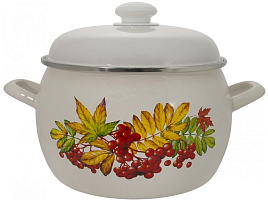 Кастрюля эмаль 5л С-4216АП2/4 Рябина