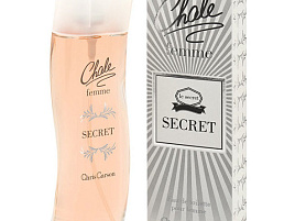 Туалетная вода женская Chale Femme Secret 100мл.2723
