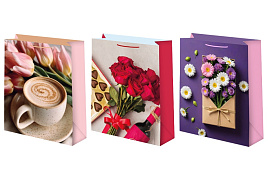 Упаковочная сумочка 14*20 Ч55632 Женская микс