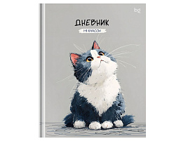 Дневник универс. Д5т40_лм 62165 "Котик", матовая ламинация