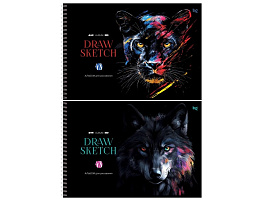 Альбом для рисования 48л. BG АР4гр48 08652 "Яркий черный" на спирали