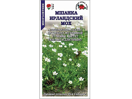 Семена Мшанка Ирландский мох шиловидная 0,01г ЗСА 8312