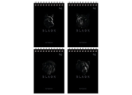 Блокнот 60л. BG Б6гр60 07052 "Just black" А6 на гребне
