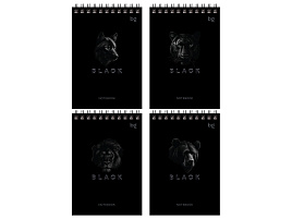 Блокнот 60л. BG Б6гр60 07052 "Just black" А6 на гребне