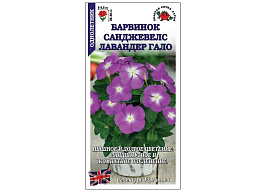Семена Барвинок Санжевелс Лавандер Гало 10шт ЗСА 0172
