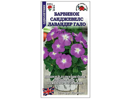 Семена Барвинок Санжевелс Лавандер Гало 10шт ЗСА 0172