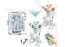 Робот Y23862114  р/у