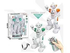 Робот Y23862114  р/у