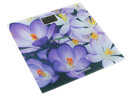 Весы напольные EUROSTEK EBS-2605