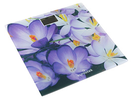 Весы напольные EUROSTEK EBS-2605