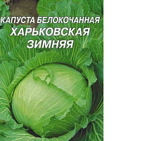 Семена Капуста Харьковская зимняя б/к 0,5г б/п ЗСА 2466