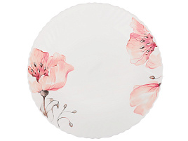 Тарелка обеденная 24см 818-878 Роселла