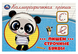 Книга КАЛЛИГРАФИЧЕСКАЯ ПРОПИСЬ 9275-9 Пишем строчные буквы