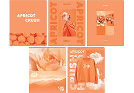 Тетрадь 48л.  Т5ск48_лм 12721 "Apricot", матовая ламинация