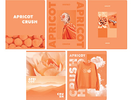 Тетрадь 48л.  Т5ск48_лм 12721 "Apricot", матовая ламинация