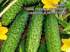 Семена Огурец Хрустик F1 10шт Г 2858