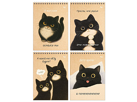 Блокнот 60л. BG Б5гр60 06543 А5 на гребне "Настроение - кот"