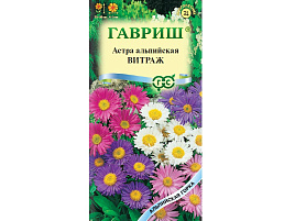 Семена Астра Витраж Альпийская 0,05г Г 8259