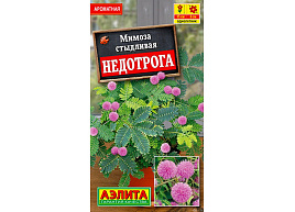 Семена Мимоза Недотрога 10шт А 8840