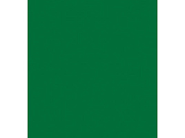 Блокнот 60л. BG Б6гр60 8596 на гребне "Для конференций", зеленый