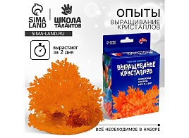 Выращивание кристаллов 5115232 Лучистые кристаллы