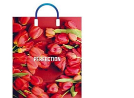 Пакет петля с пласт.ручкой 38*45 Совершенство