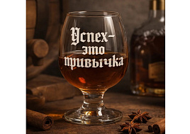 Набор бокалов для бренди 6шт 1714-Г Успех-это привычка 250мл