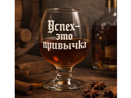 Набор бокалов для бренди 6шт 1714-Г Успех-это привычка 250мл