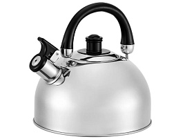 Чайник нержавейка 4,5л BE-0528/8370