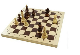Шахматы гроссмейстерские 02846