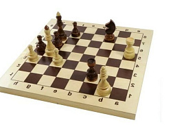 Шахматы гроссмейстерские 02846
