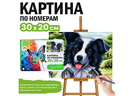 Картина для раскрашивания 30*20 MKR3020-22 Бордер-колли, по номерам