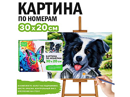 Картина для раскрашивания 30*20 MKR3020-22 Бордер-колли, по номерам