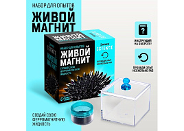 Набор для творчества Опыты 7070787 Живой магнит