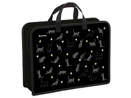 Папка для тетрадей А4 Berlingo PP-EX-1235 с ручками 1 отделение, "MEOW Galaxy", 340*245*100мм, пластик, на молнии