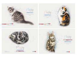 Альбом для рисования 24л. BG АР4ск24 10913 "Акварельные котики"