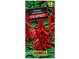 Семена Сальвия Скарлет 0,1г А 1850