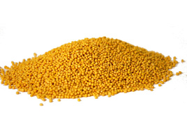 Семена Горчица 1кг