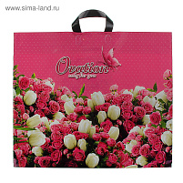 Пакет петля 50*60 Овация